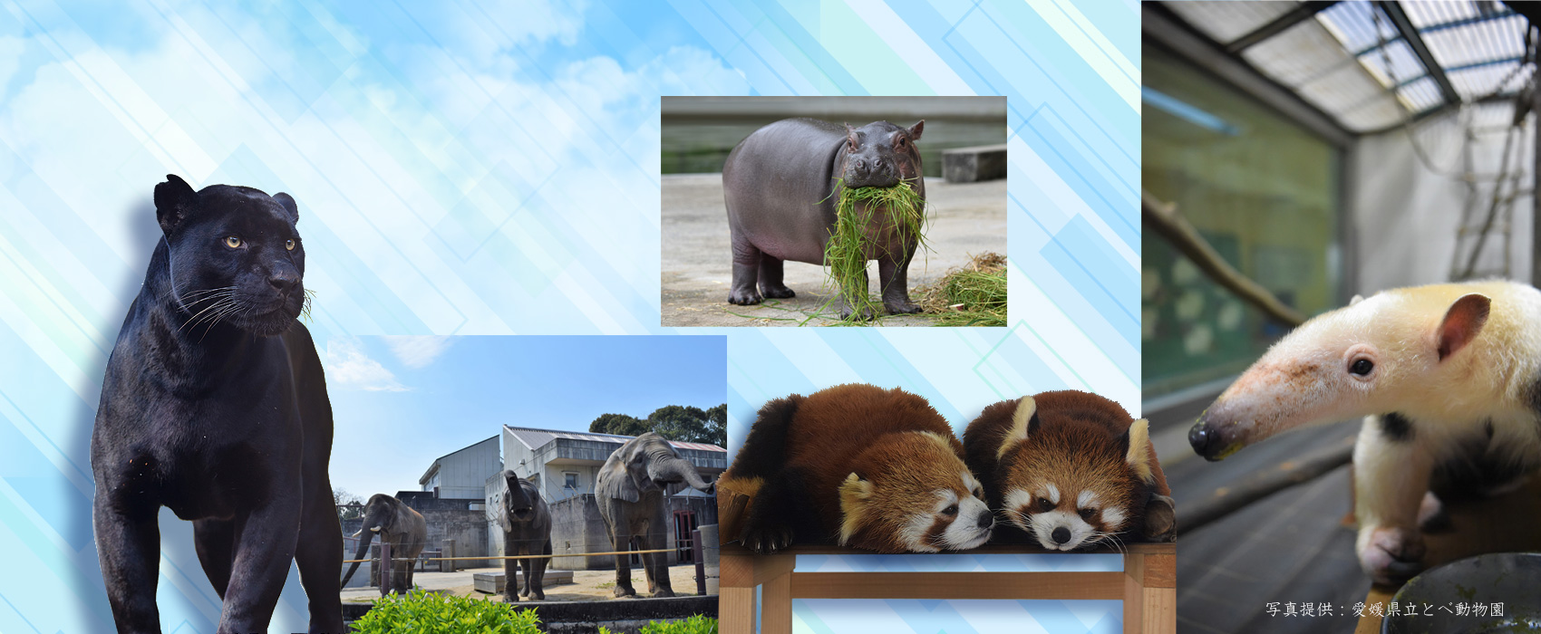 道後温泉　ホテル古湧園　遥