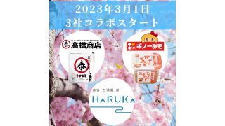 ギノーみそ×やすまるだし×道後温泉 ホテル古湧園 遥　コラボする。
