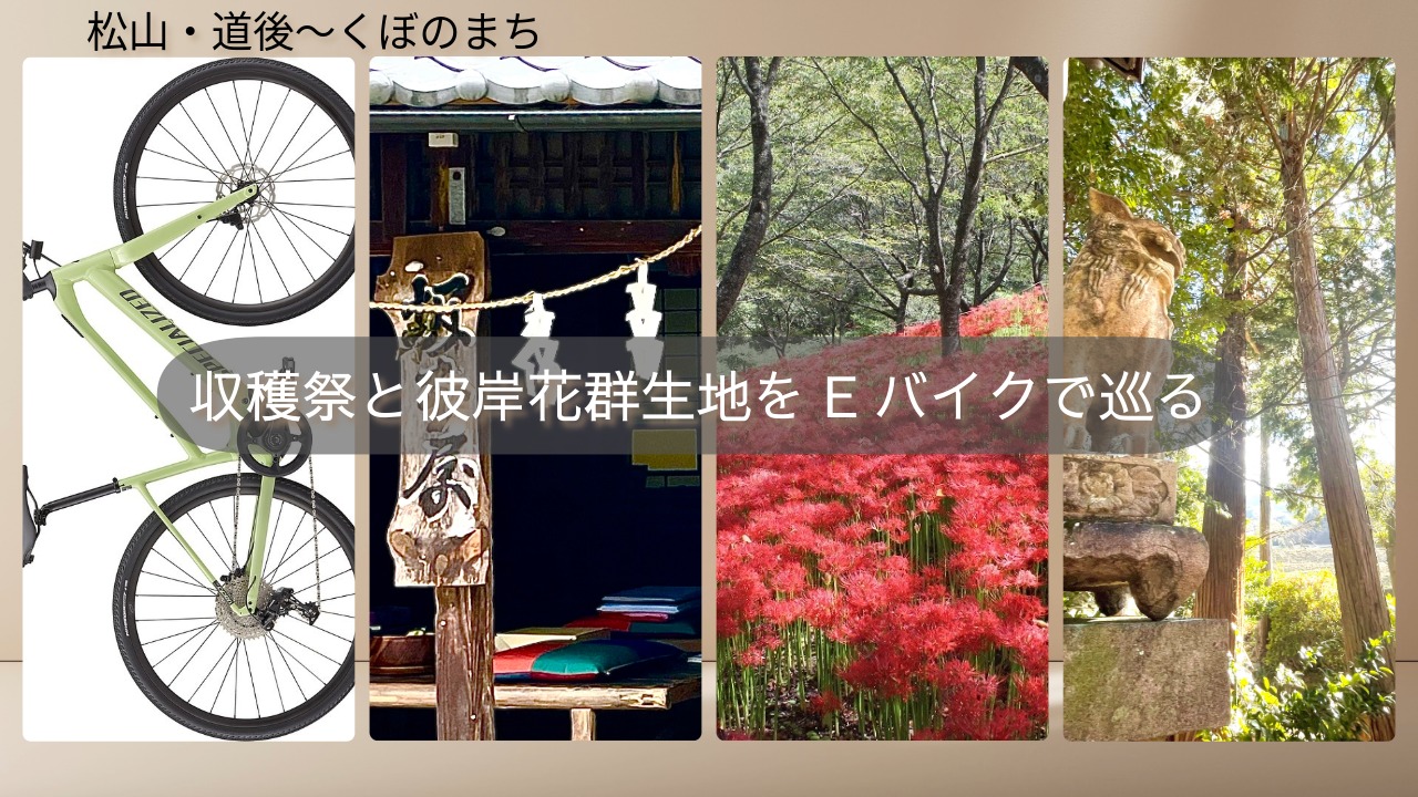 道後～窪野　9月21日収穫祭と彼岸花群生地へEバイクで巡る【レンタルEバイク・ホテル当日泊朝食付】