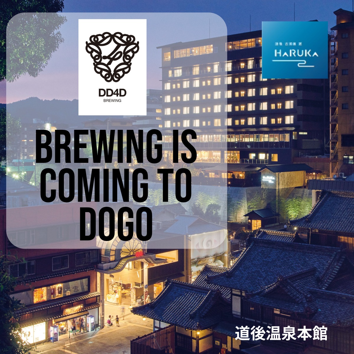 「えひめ和marche」　道後に”DD4D BREWING” がやってくる