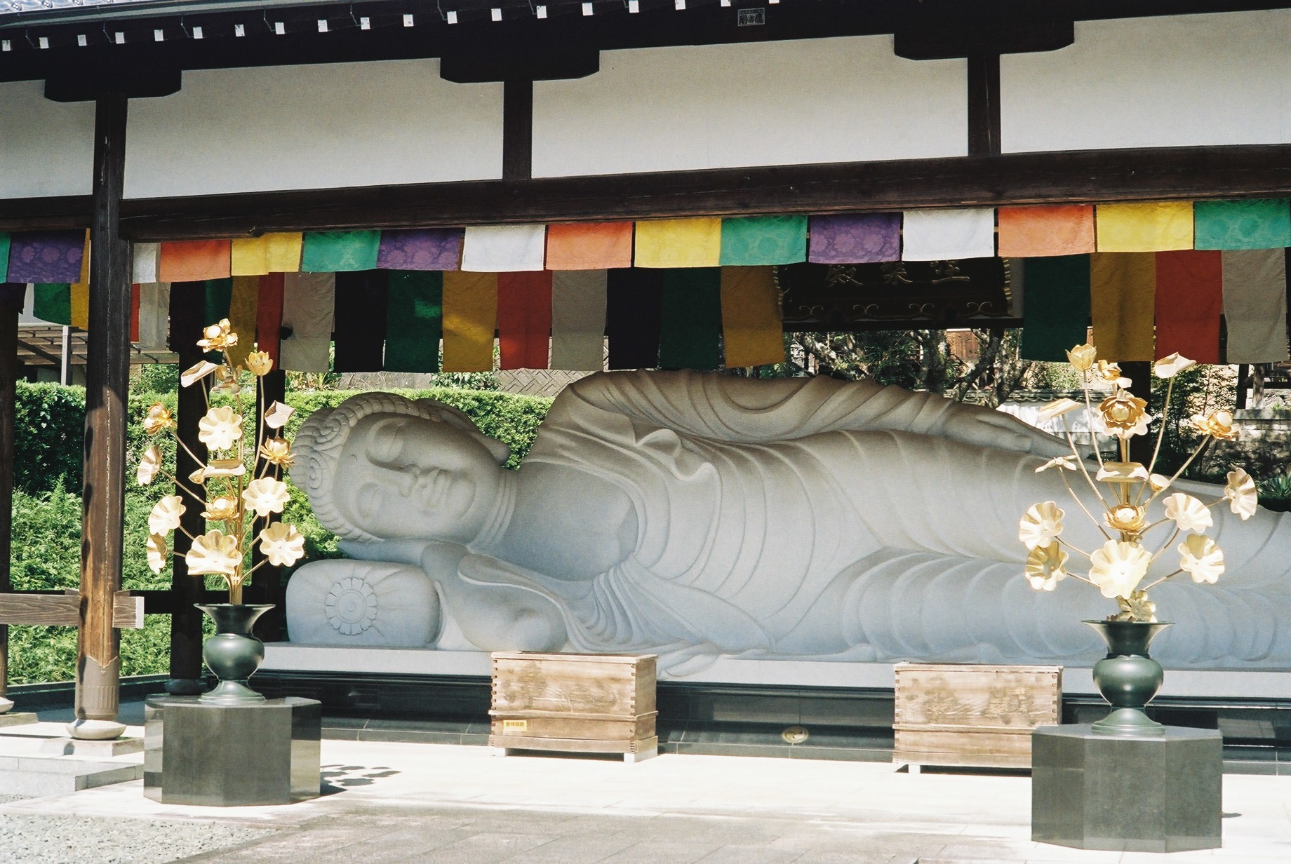 ＜フリープラン＞道後温泉発！日帰り周遊モデルコース*添乗なし