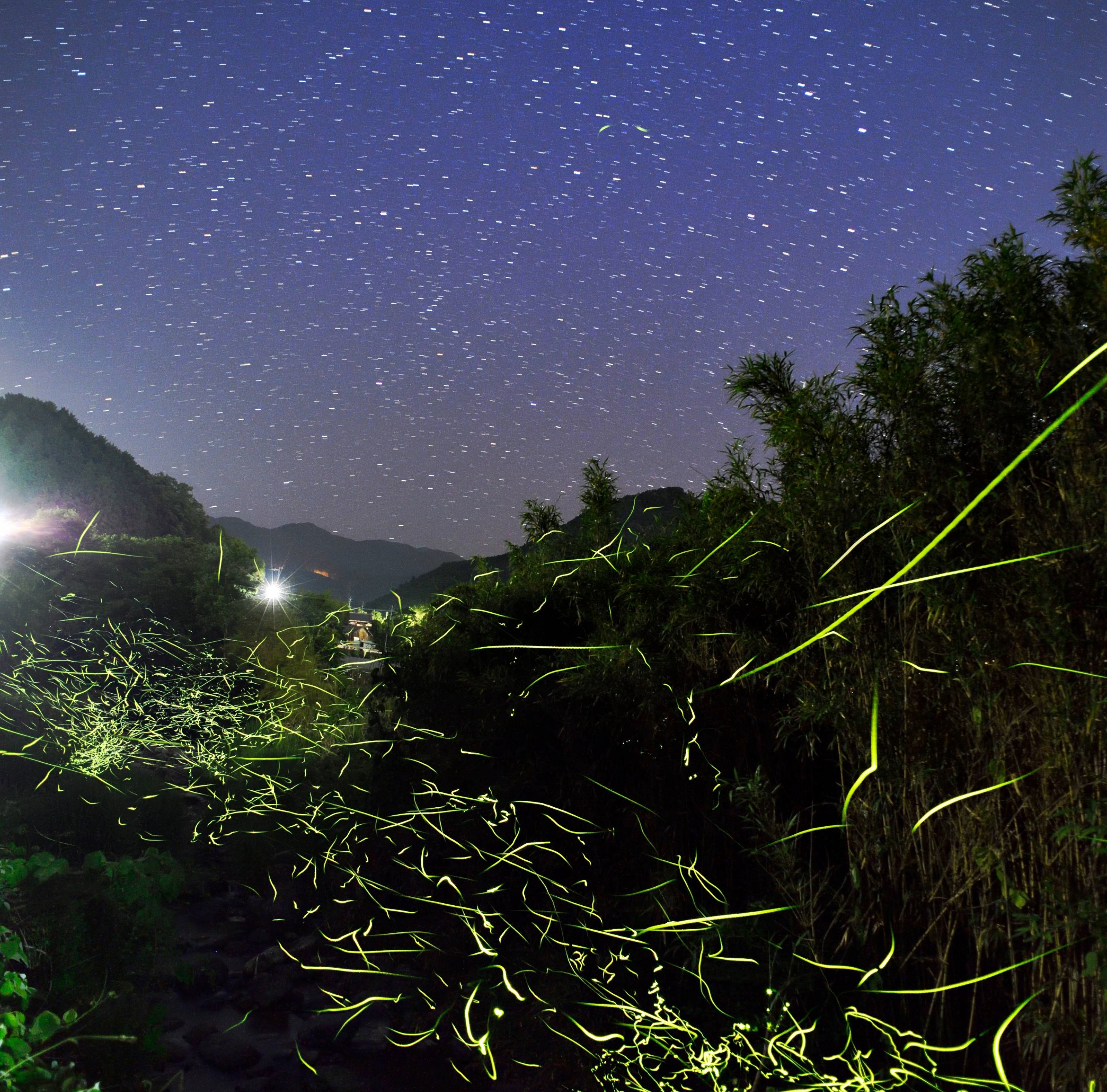 ６月６日土曜日　松山くぼの町「ホタルの里山まつり」開催