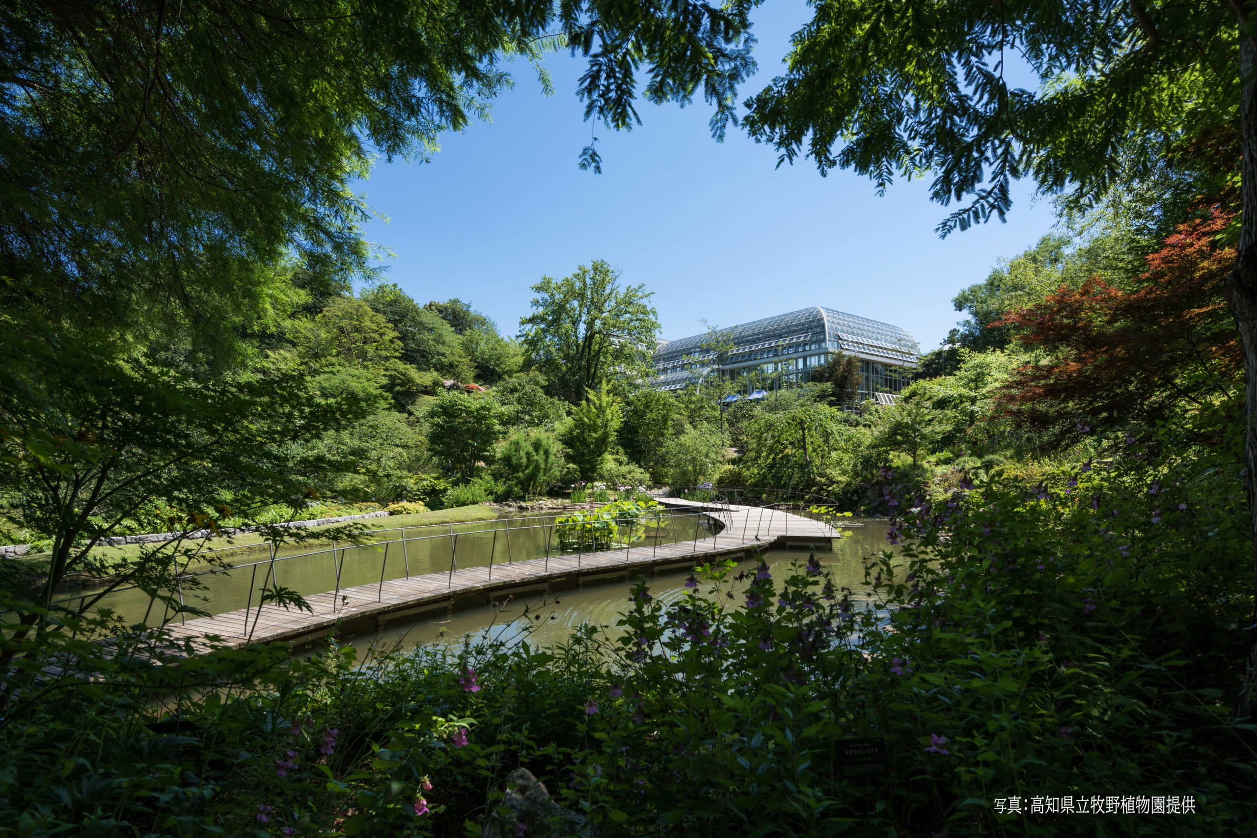 牧野植物園